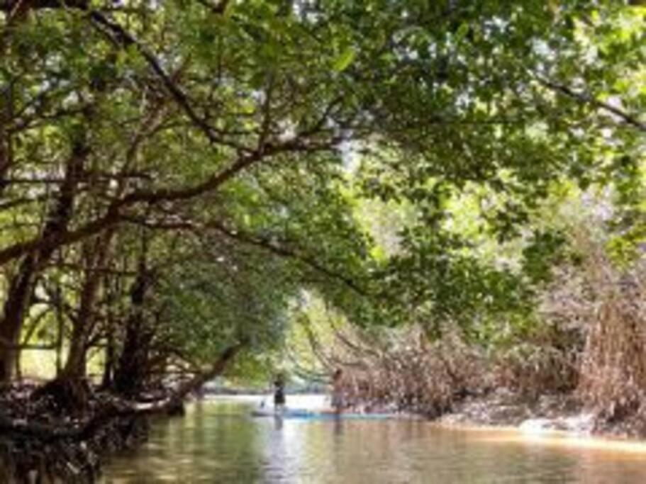 美崎の宿　バーローン Ishigaki  Εξωτερικό φωτογραφία